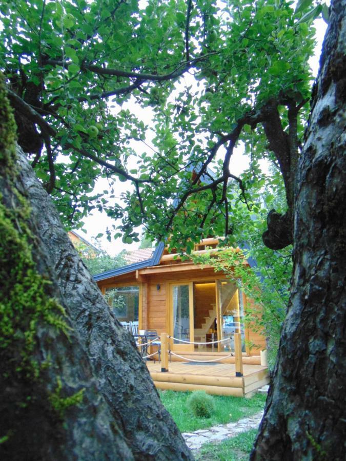 Apple House Villa Cetinje Eksteriør bilde